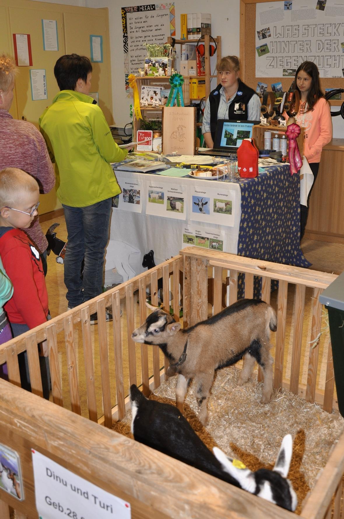 Nicole Gobeli hat zwei junge Ziegenböcklein mitgebracht.