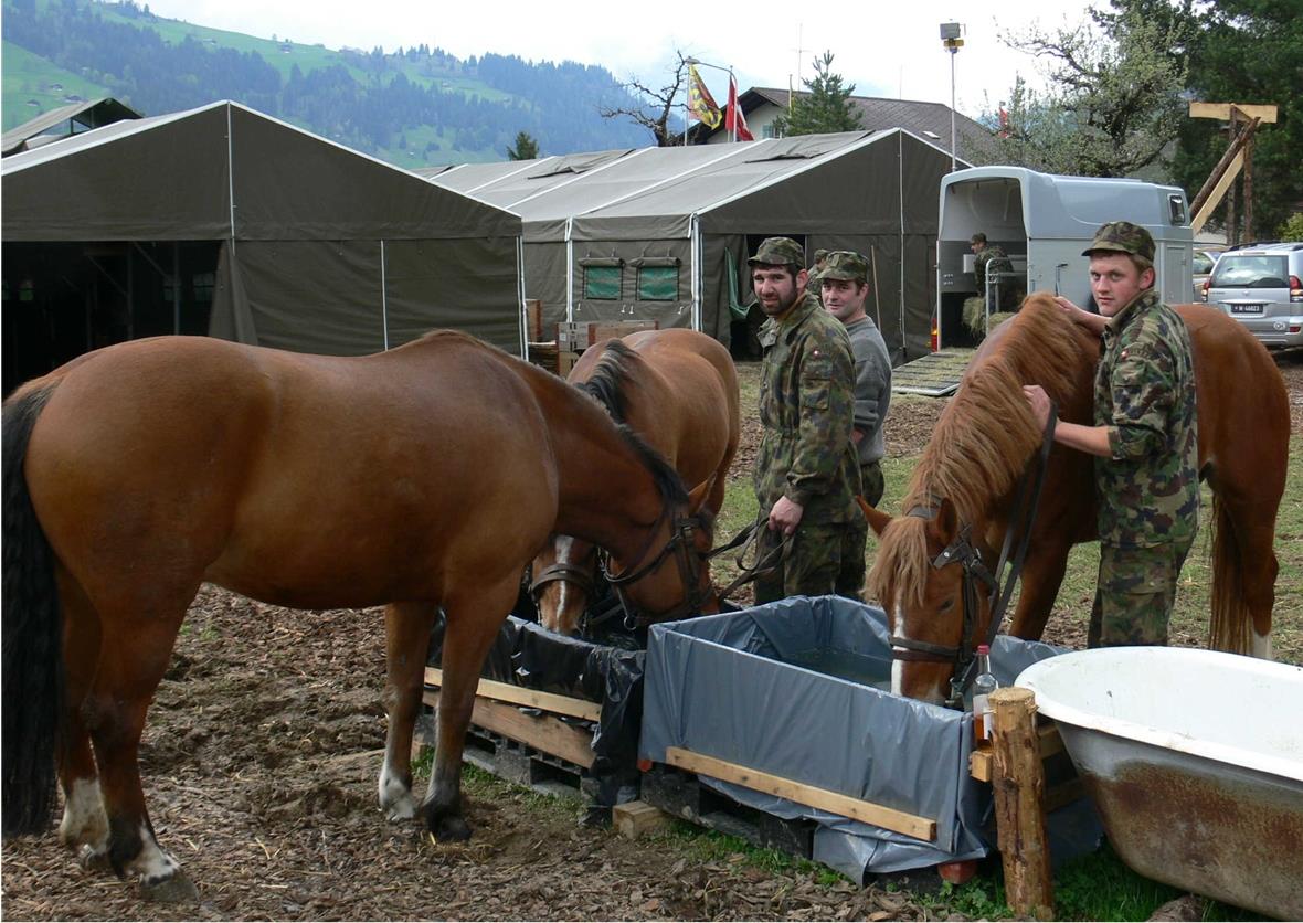 Noch werden die Pferde auf der Zälg getränkt. In einer Woche werden die Soldaten mit den Pferden durch Zweisimmen defilieren. Bild: Fritz Leuzinger