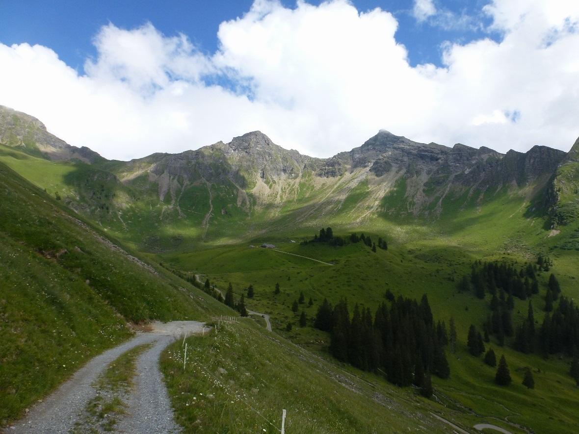 Oberberg in der Kiley, das Diemtigtal nah, wertvoll und wild.