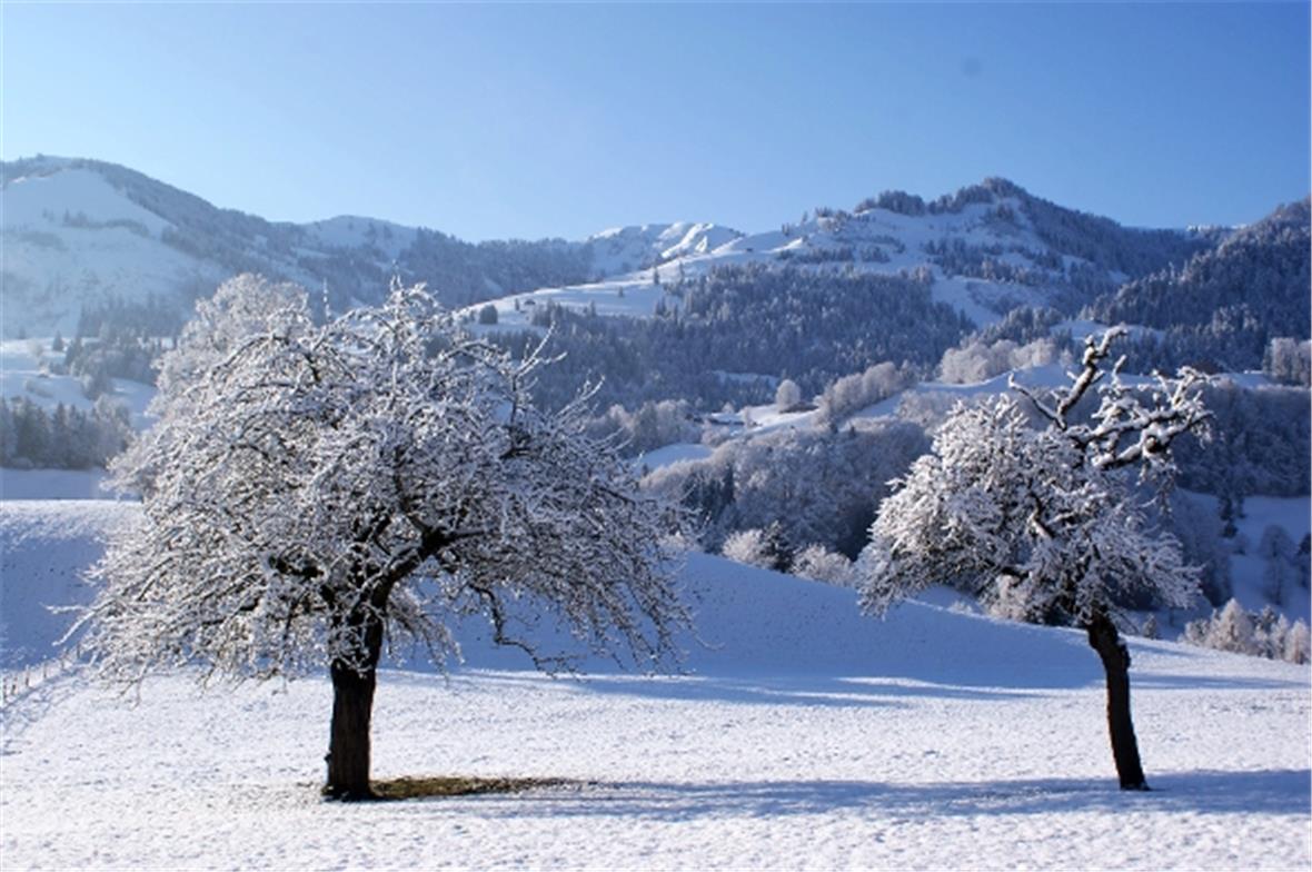 Oberwil mit Blick zum Rossberg: Wo sind die 35,7% Zweitwohnungen?
