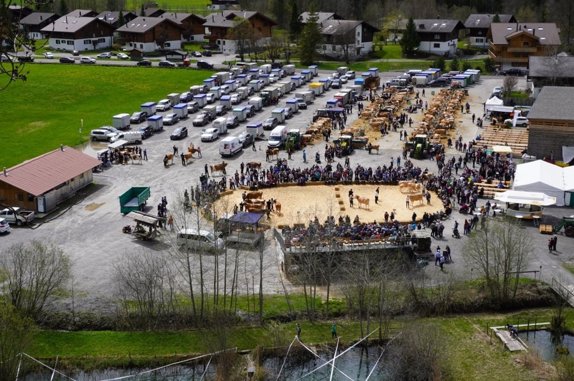 Optimale Infrastruktur, Blick auf das Festgelände auf dem Parkplatz der Metschbahnen.