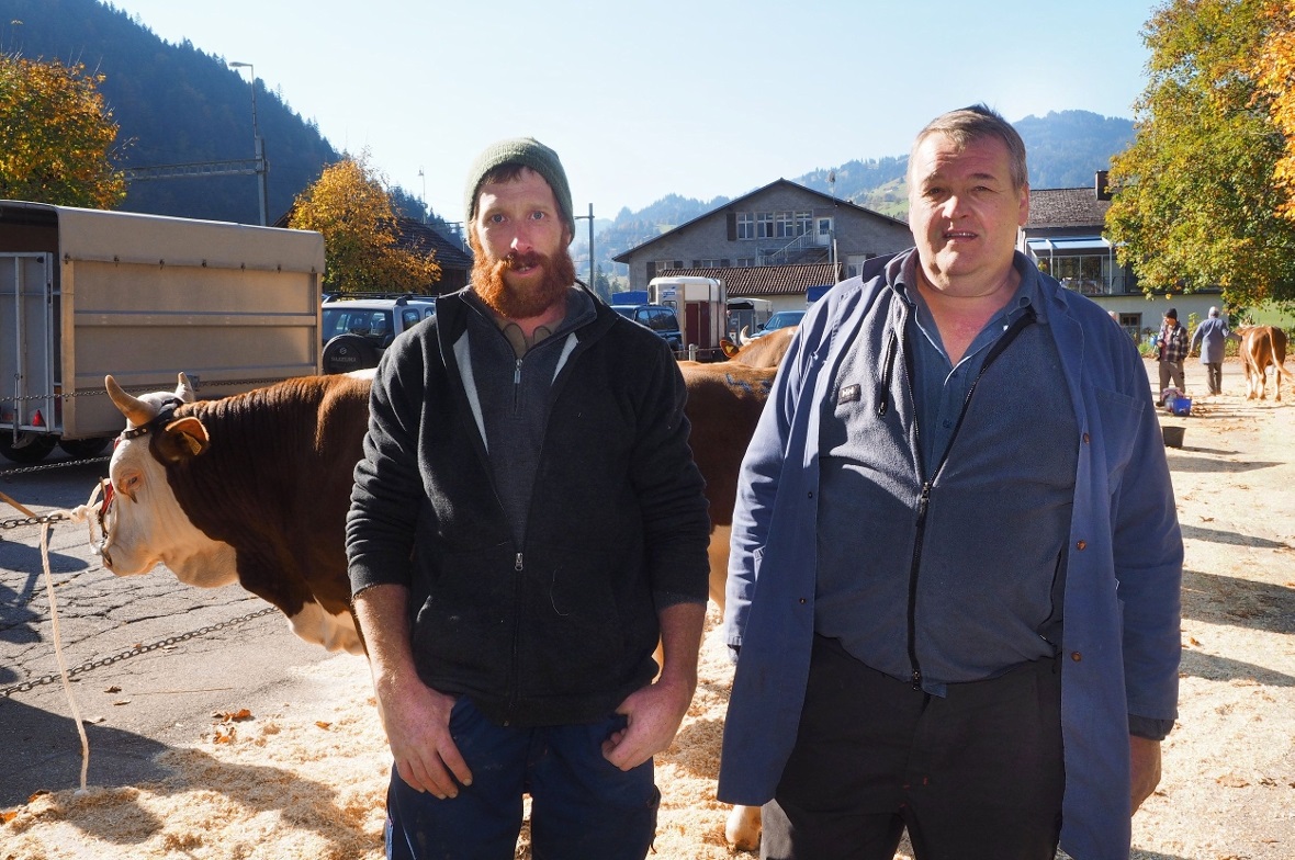 Organisatoren unter sich: Michael Guggisberg und Jakob Reichen vom Viehzuchtverein Boltigen.