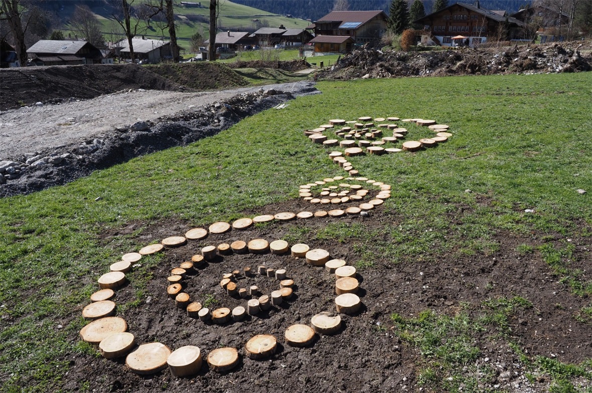 Ornament aus runden Baumscheiben.