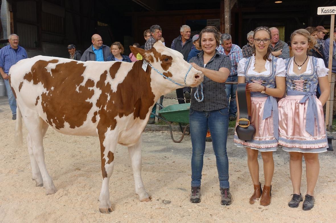 Per Handschlag gab Experte Christian Stegmann bei der Rinder-Misswahl dem Rind «...