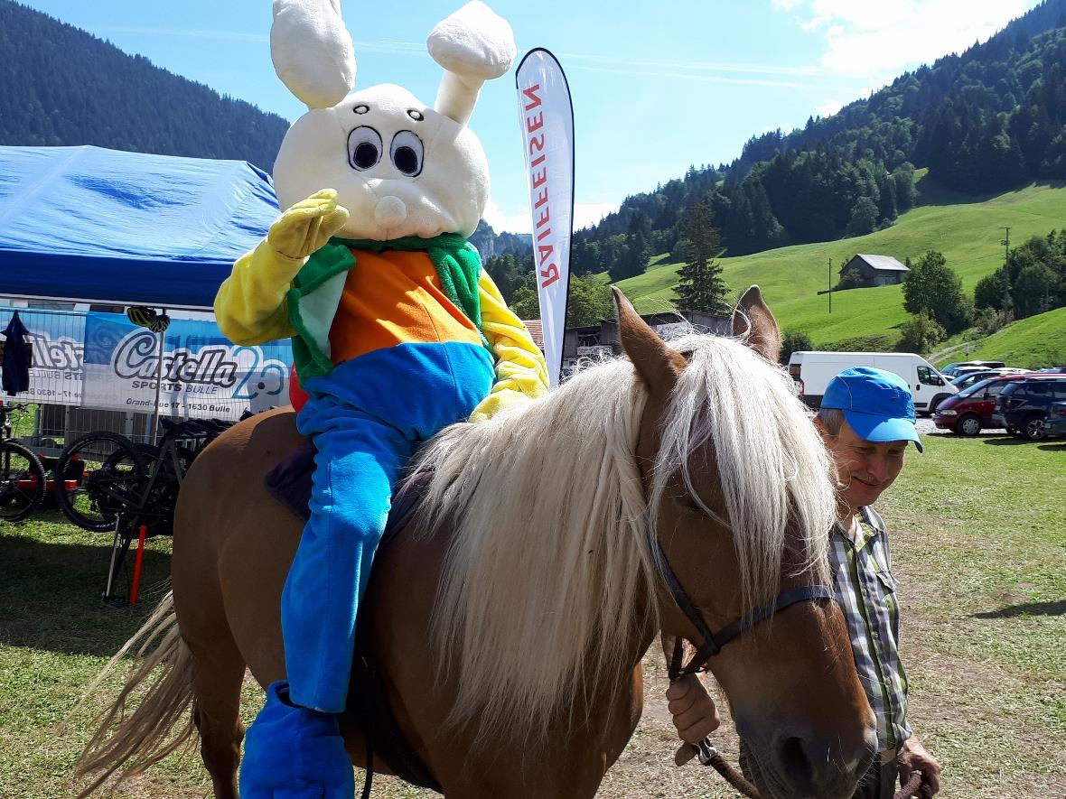 Ponyreiten für Gross und Klein.
