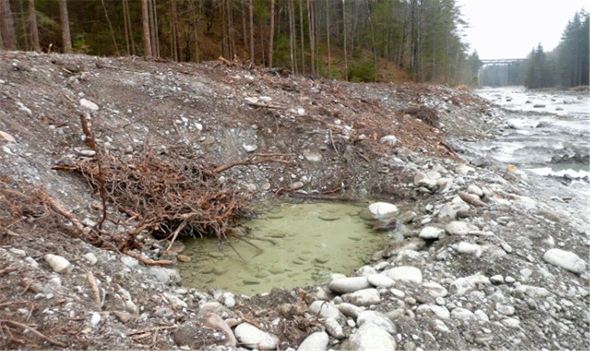 Potentieller Amphibienlebensraum.