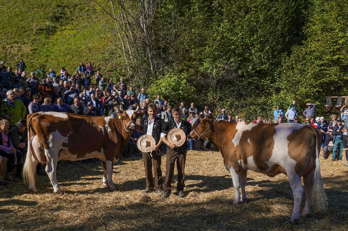 Prachtvolle Tiere, stolze Züchter: Hier die Miss SF mit Züchter Ferdinand Bergma...