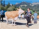 Prächtige Tiere auf dem Schauplatz Oey.