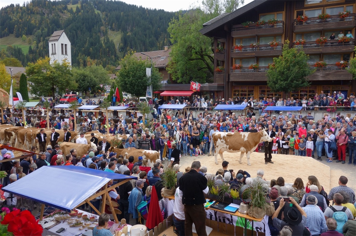 Präsentation der Missen auf dem Gade-Parkplatz.