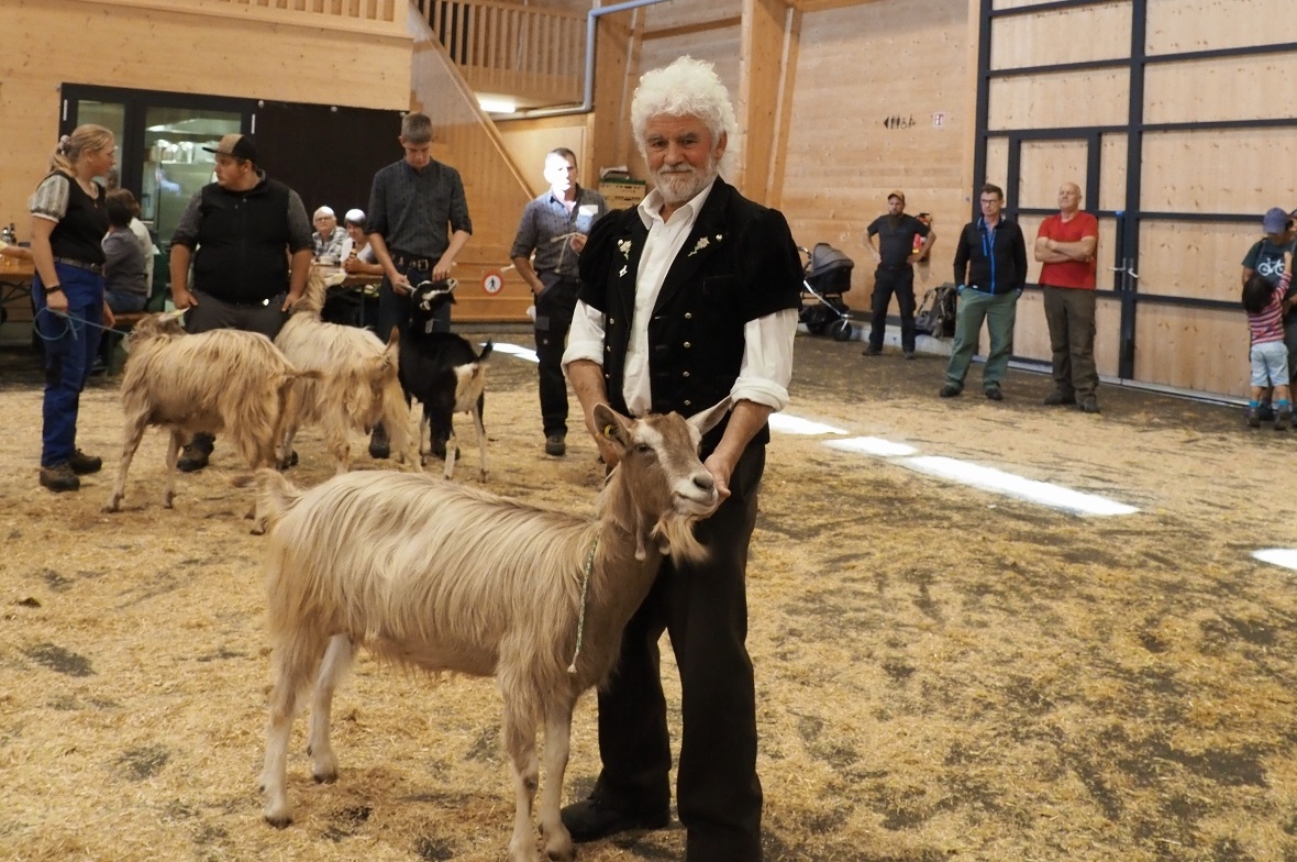 Präsident und Züchter Ueli Perren aus St. Stephan erhielt gleich für zwei seiner...
