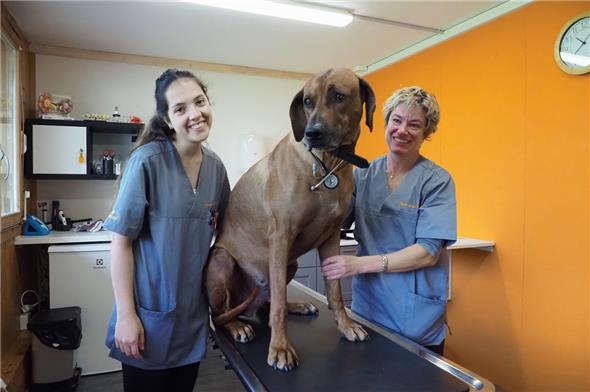Praxisassistentin Andrea Steiner (links) und Tierärztin Ursina Nufer (mit ihrem Hund) sorgen für die bestmögliche Behandlung der Haustiere bei Krankheiten oder Unfällen in der Kleintierpraxis Simmental.