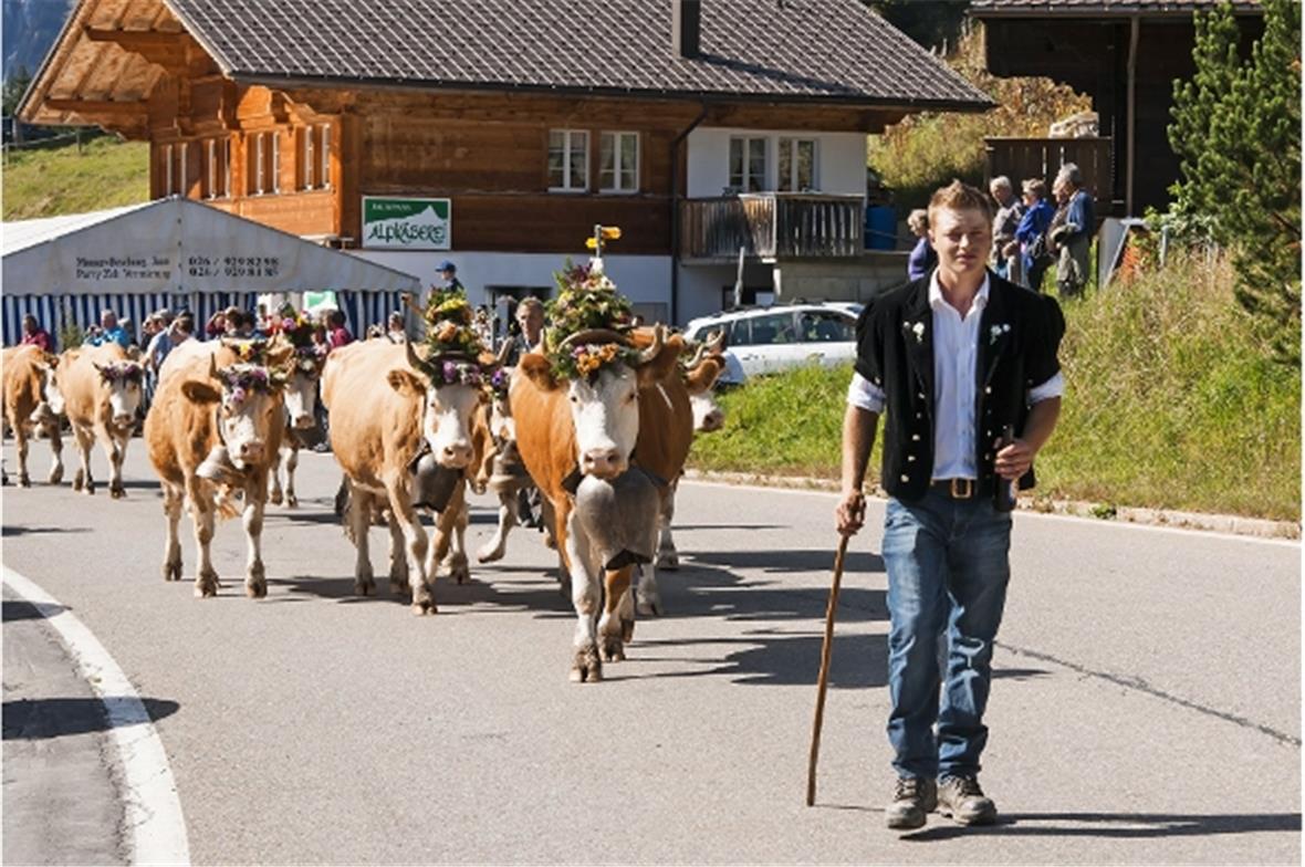 Pünktlich erreichte die Züglete, angeführt von André Klossner, die JaunpassKäserei mit den erwartungsvollen Besuchern.