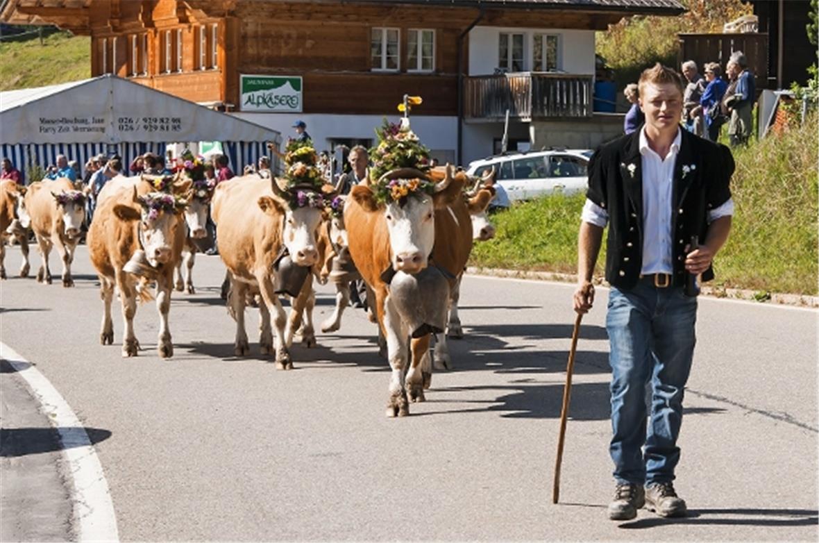Pünktlich erreichte die Züglete, angeführt von André Klossner, die Jaunpass Käse...