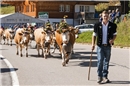 Pünktlich erreichte die Züglete, angeführt von André Klossner, die Jaunpass Käse...