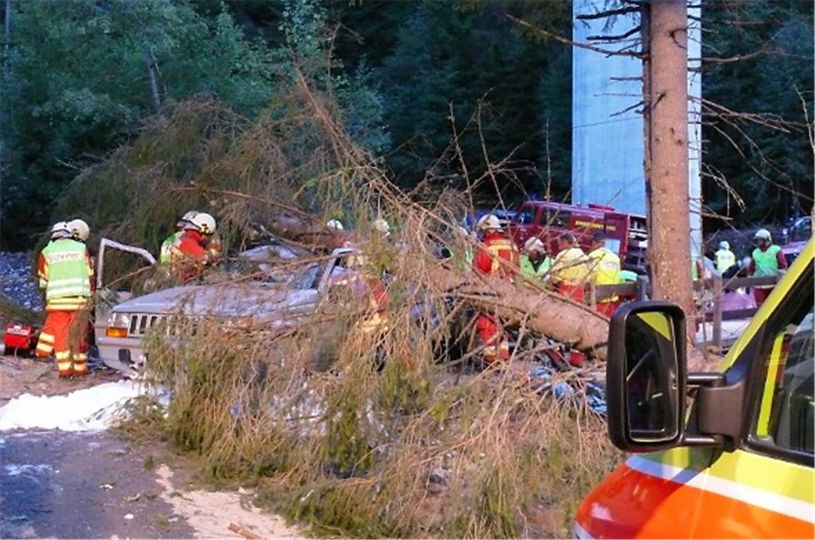 Realitätsnahe Übung: Es wurde extra ein Baum gefällt.