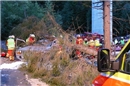 Realitätsnahe Übung: Es wurde extra ein Baum gefällt.