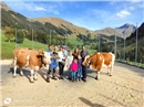 Rechts: Kuh Carla, im Besitz von Familie Andrea + Andrin Gobeli, gewinnt den Wan...