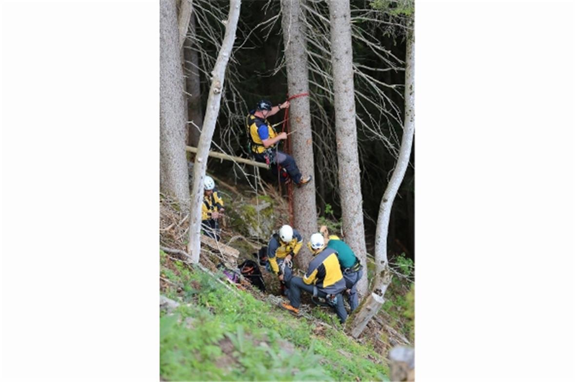 Rettung aus einem Baum oder einer Tanne