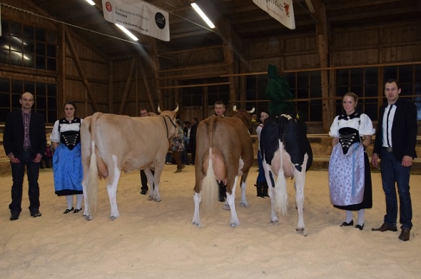 Richter Niklaus Krebs, Ehrendame, Miss Simmental Dario Sarina, Toni Perren, St. Stephan, Miss Swiss Fleckvieh Pickel Olivia, Urs und Andrea Perren, St. Stephan, Miss Red Holstein, Wegas-ET Jordana, Hans und Irene Siegenthaler Boltigen, Ehrendame, Ringman Ueli Siegenthaler.