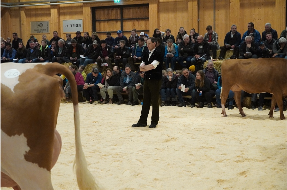 Richter – eine anspruchsvolle Aufgabe.