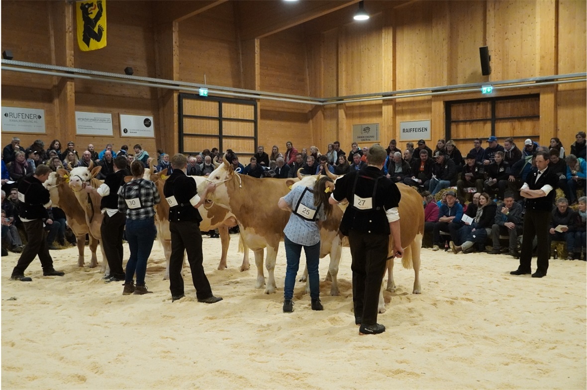 Richter – eine anspruchsvolle Aufgabe.