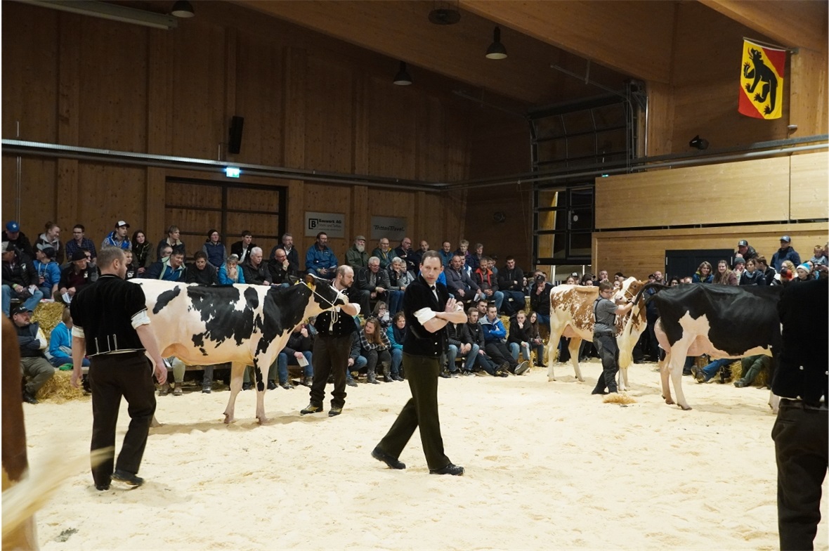 Richter – eine anspruchsvolle Aufgabe.