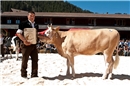 Rind Jana, Miss SI Jungzüchter von Markus Marmet, Lenk.