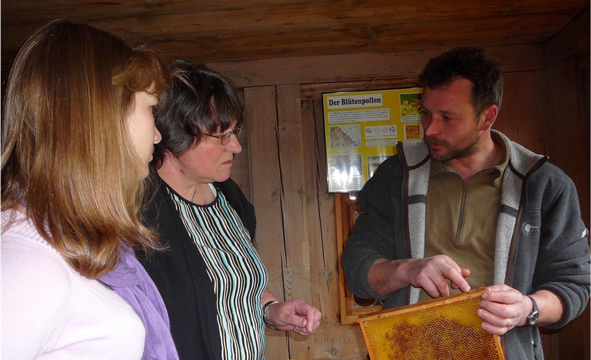 Rudolf Ast erklärt an der Ausstellung, was Propolis ist und wozu dies verwendet werden kann.