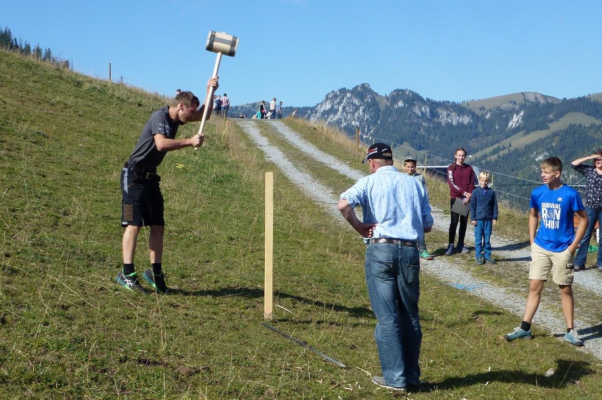 Sämi Wampfler gibt sein Bestes beim Zäunen.