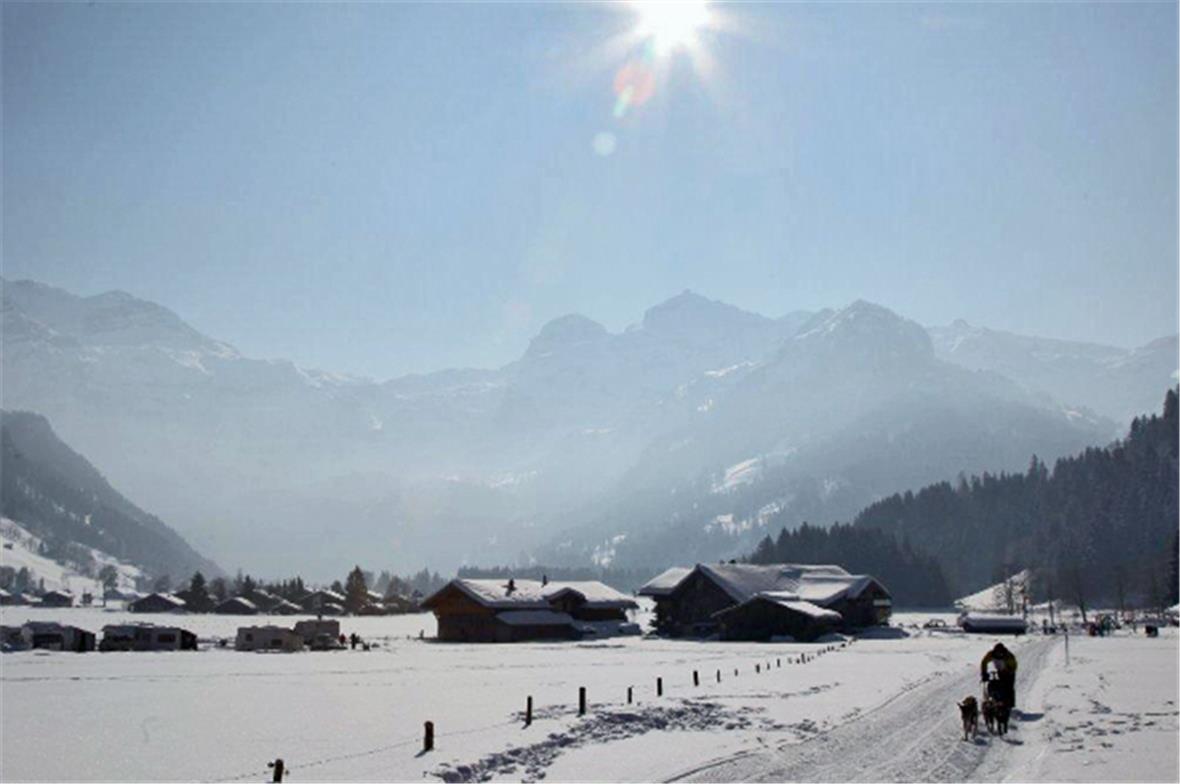 Schlittenhunderennen bei schönstem Wetter im Bergpanorama der Lenk.