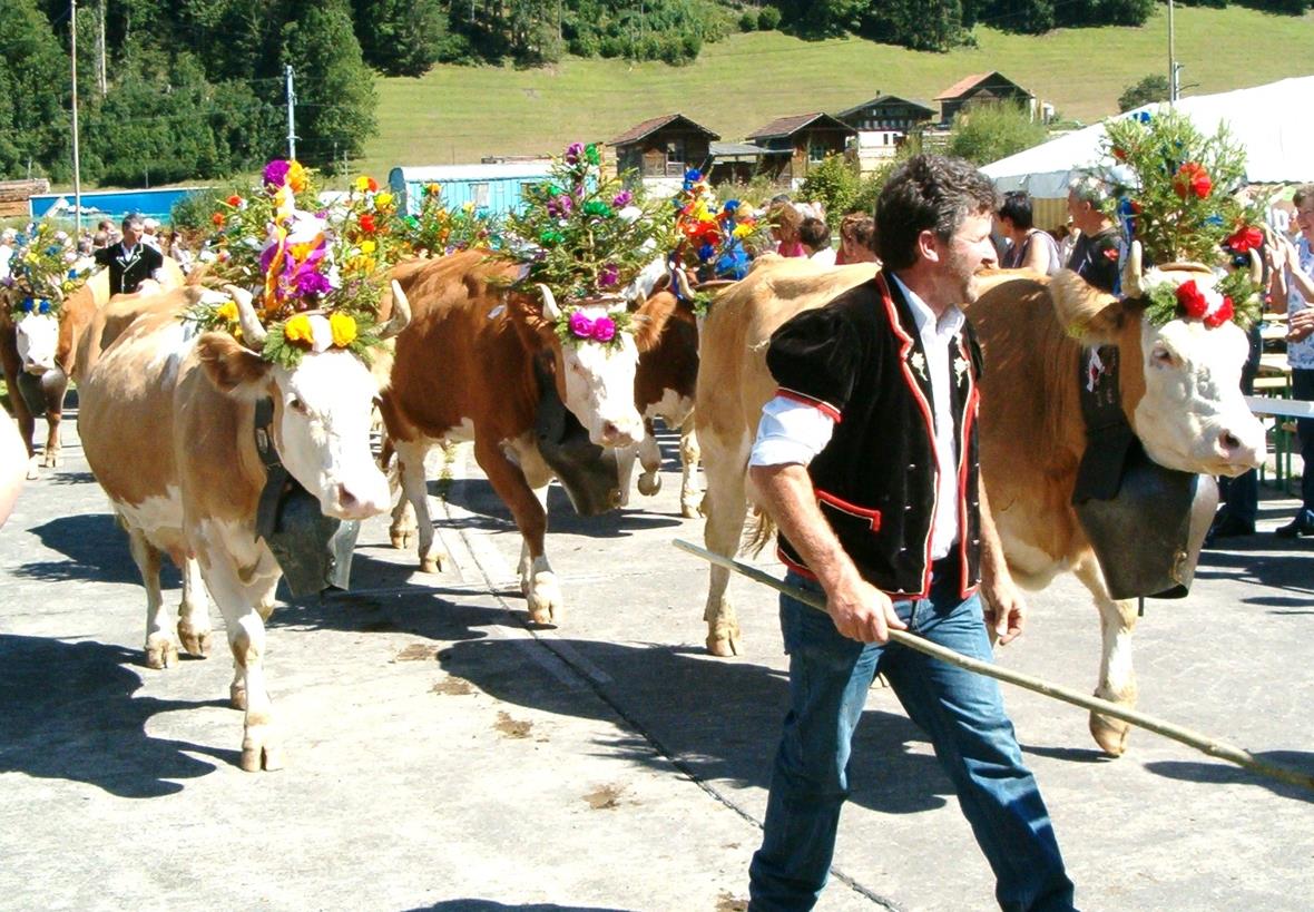 Schmucke Züglete im Parcours.