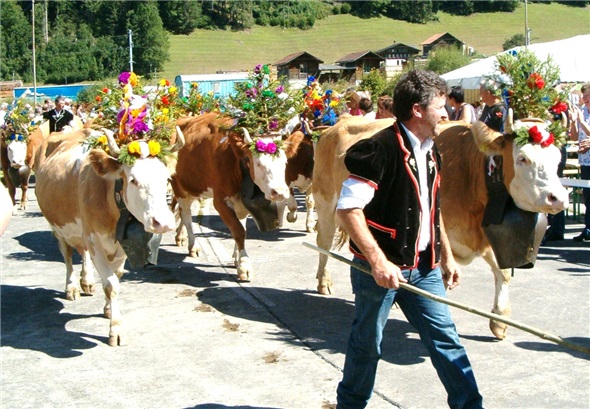 Schmucke Züglete im Parcours.