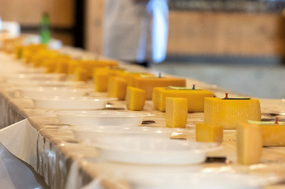 Schön nebeneinander wurden die Käselaibe aufgereiht.