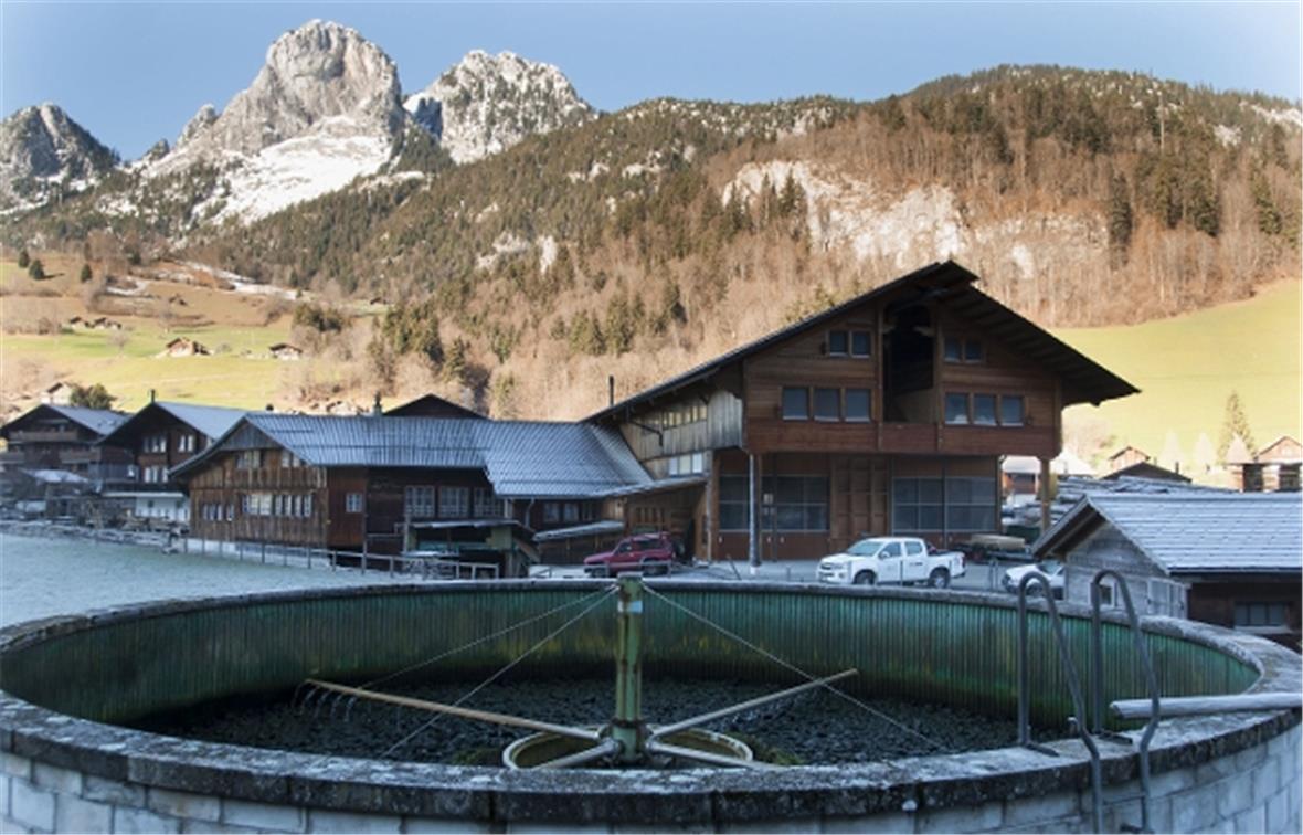 Schon bald Vergangenheit: Die ARA Boltigen soll zurückgebaut und das Abwasser ab 2019 der ARA Thunersee zugeführt werden.