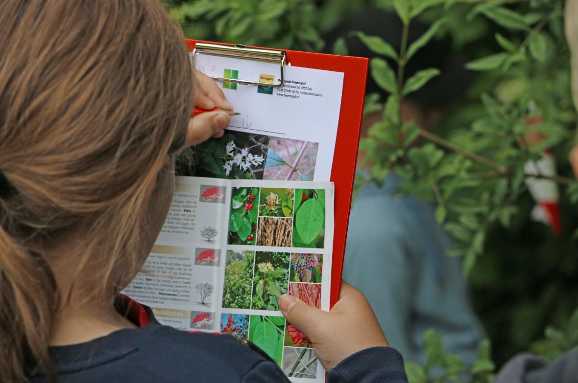 Schülerin beim Lösen der Aufgabe