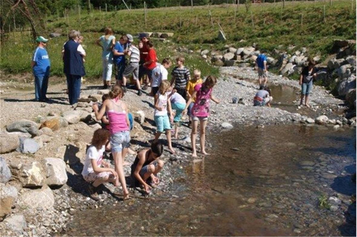 Schulklasse beim erkunden des Wassers