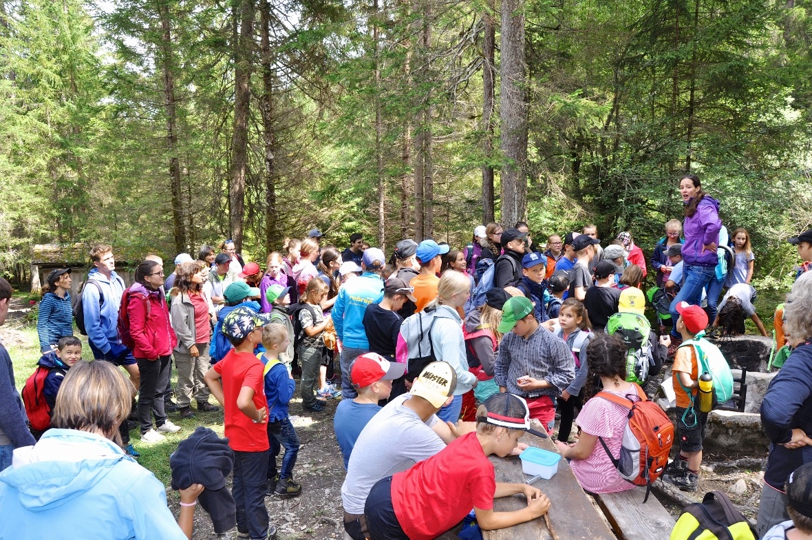 Ein grosses Vergnügen auf dem Rossberg