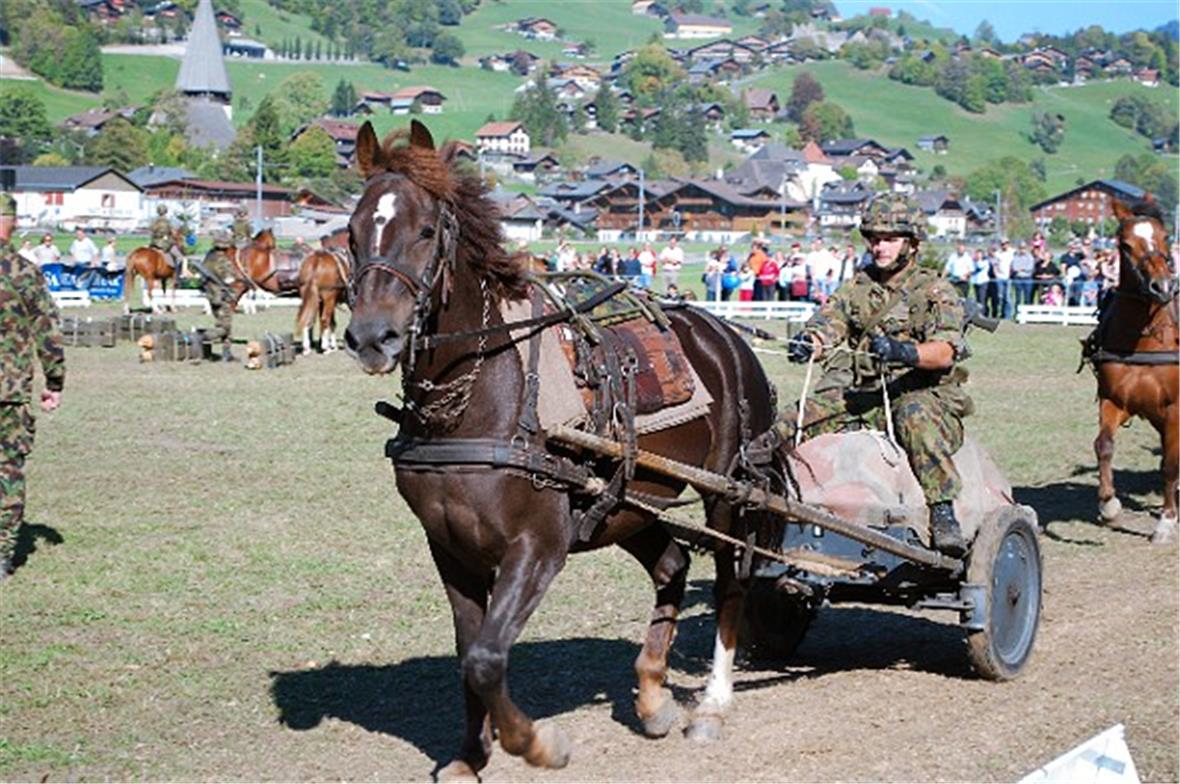 Schweizer Trainsoldaten demonstrierten den Kampfeinsatz