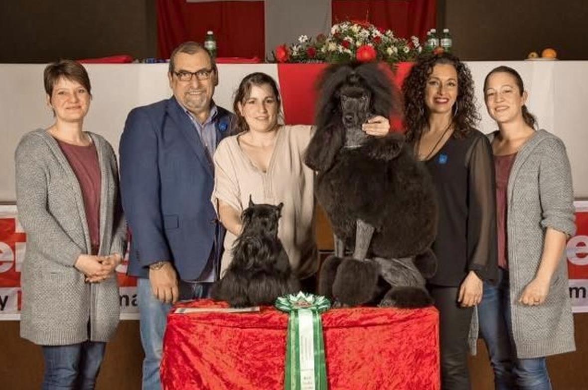 Sechs-Länder-Meisterin Nadja Ginggen mit ihren Hunden Campino und Jill!