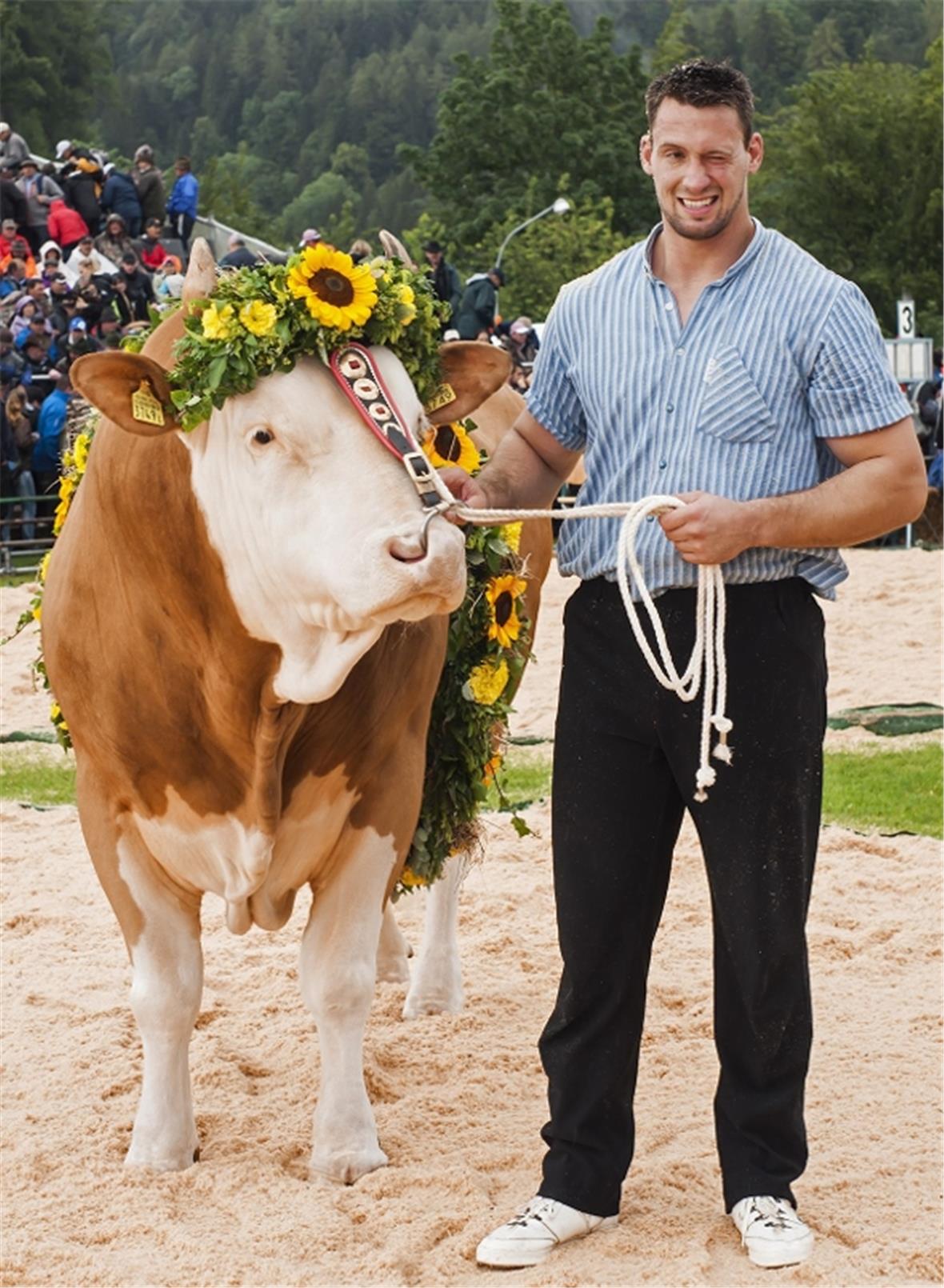 Sieger Kilian gewinnt Muni Kilian.