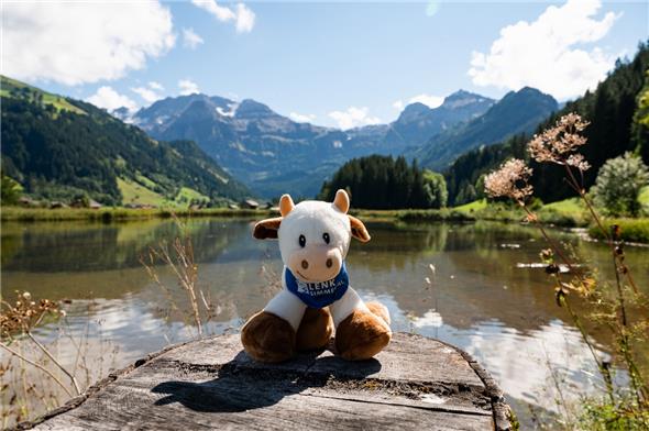 «Simmi», die herzige Plüschkuh, ist das neue Maskottchen für Familienangebote an der Lenk.