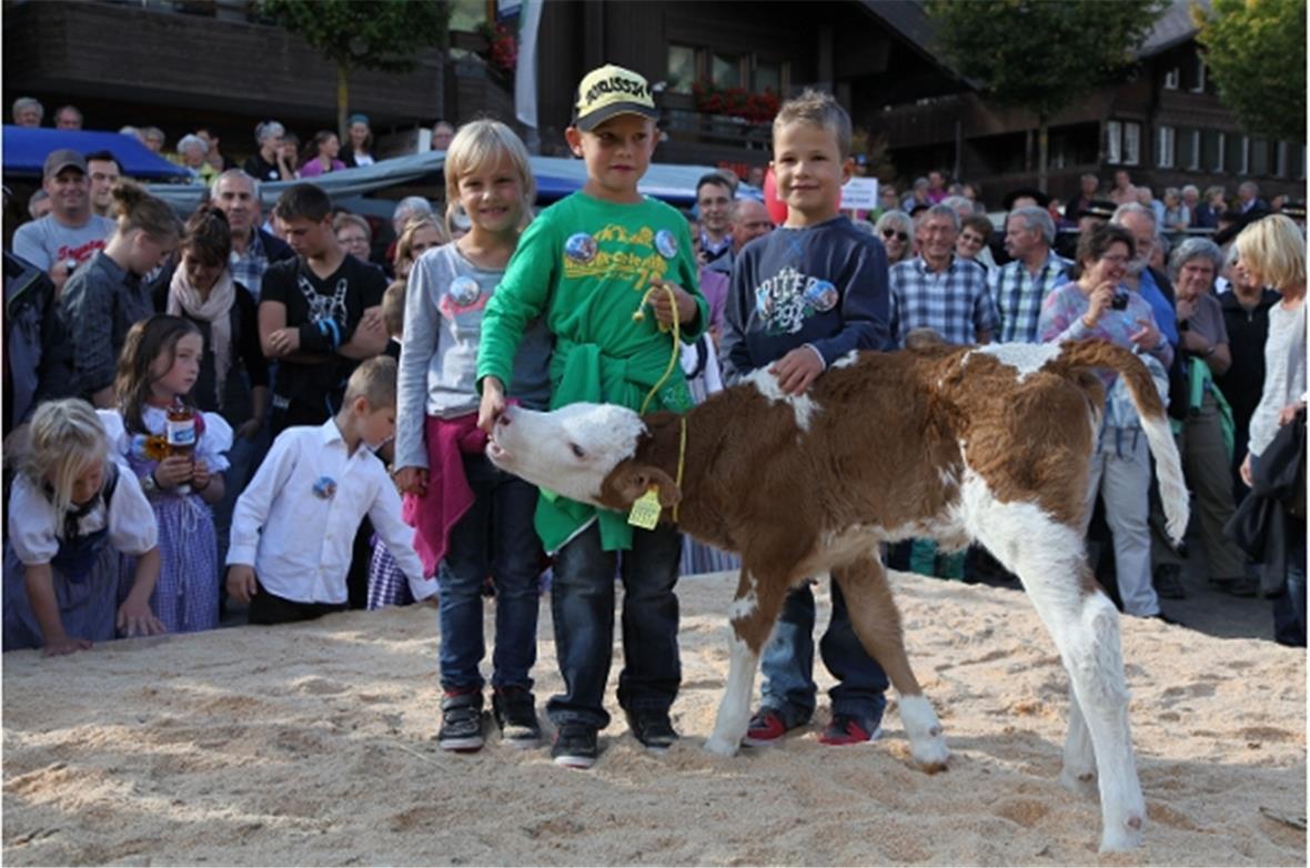 Sina, Tim und Nick Sperreisen aus Lengnau haben das Kalb Veiel gewonnen
