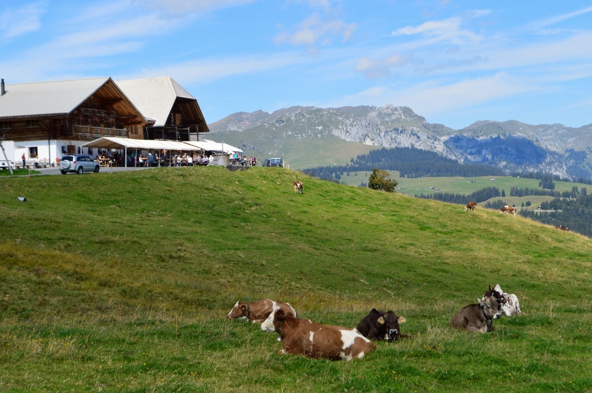 Site Alp im Spätsommer.