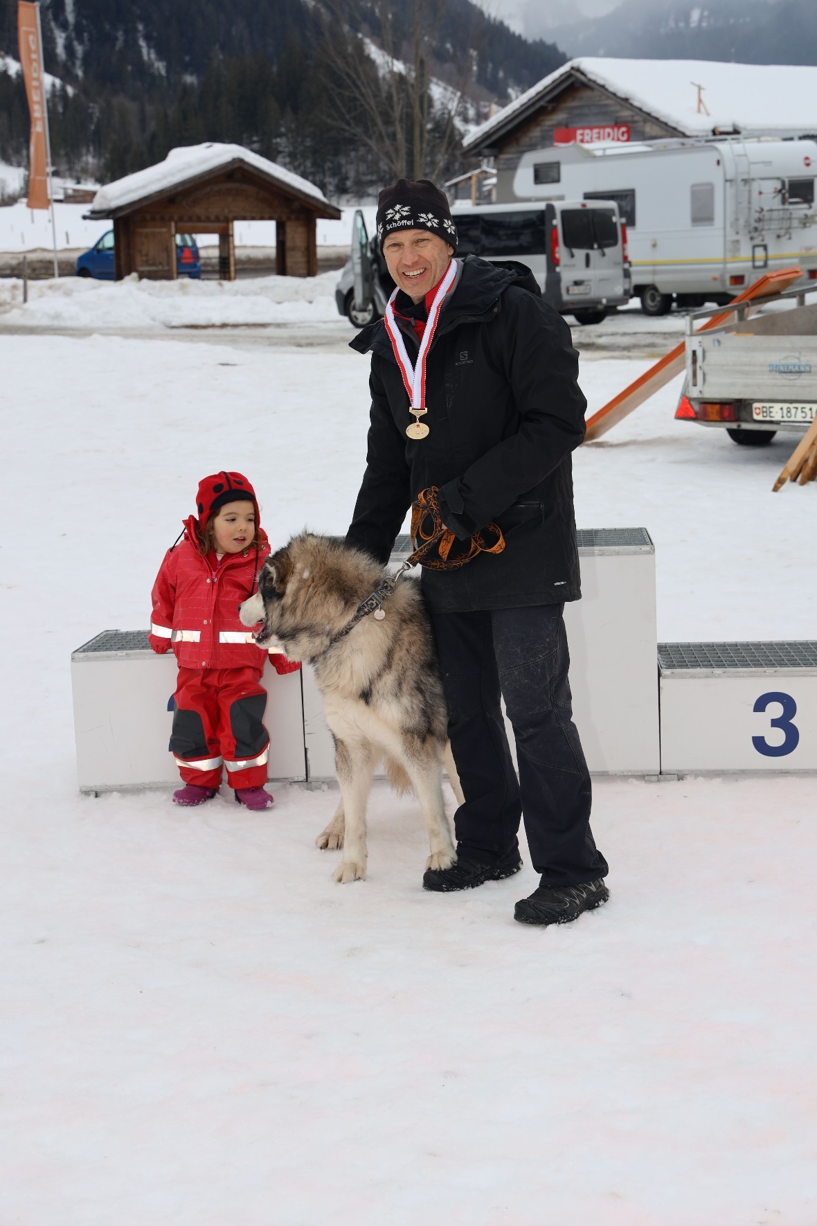 SkijöringHerren, 1 HundAM, S, G, 12 km / 8 km