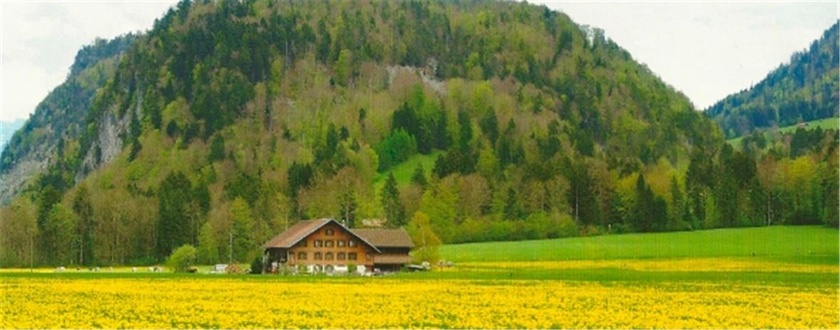 So wie auf dem Bild werdet Ihr die Ansmatte nie mehr sehen!