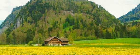 So wie auf dem Bild werdet Ihr die Ansmatte nie mehr sehen!