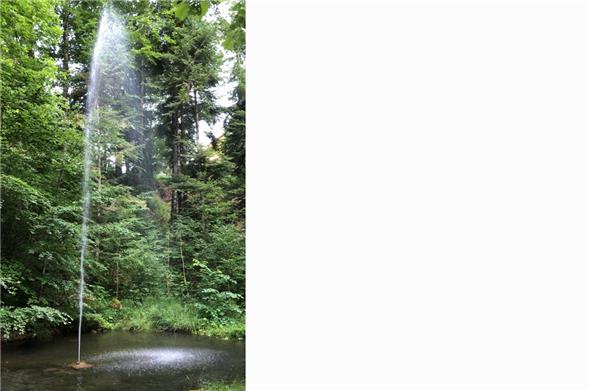 Springbrunnen vorderes Weissenburg-Bad.