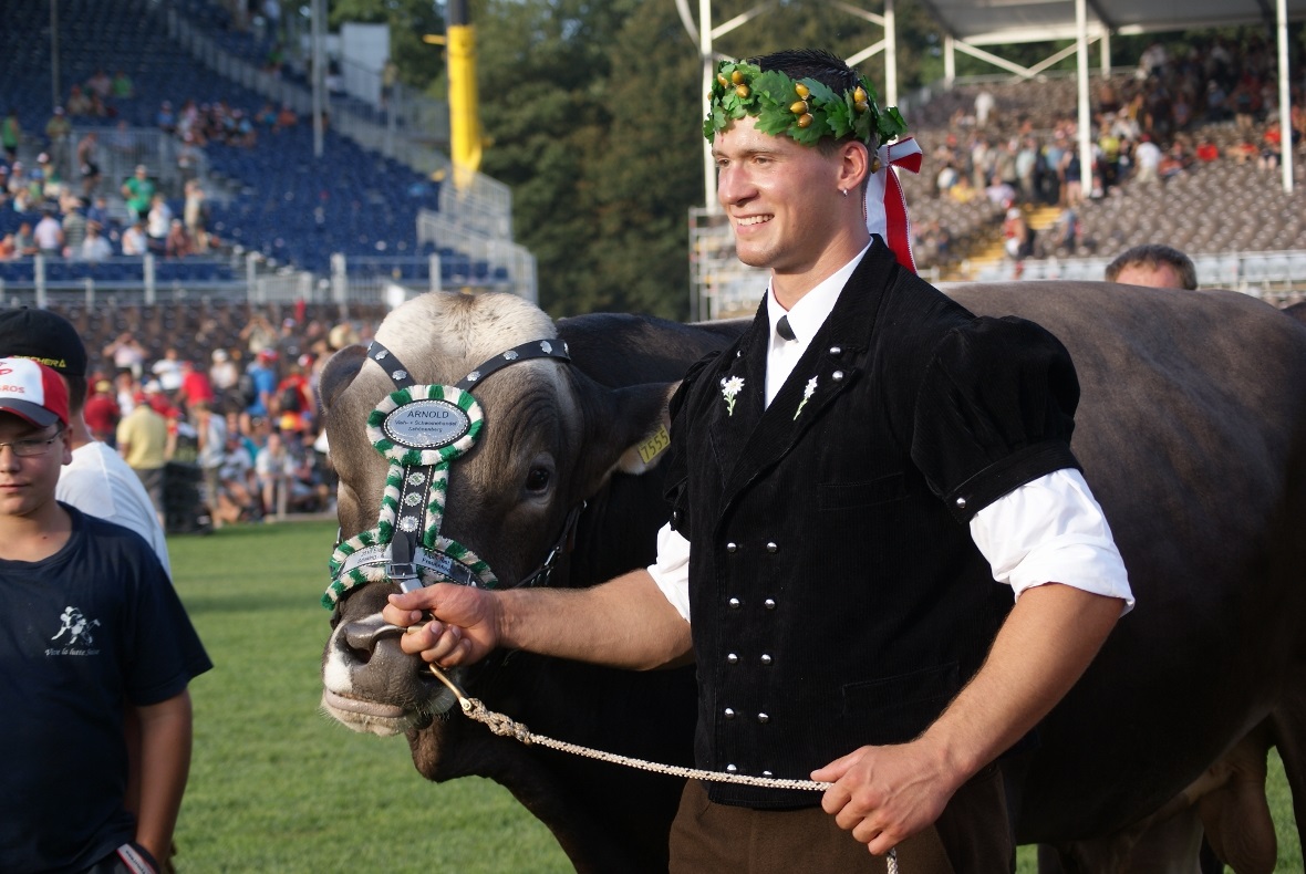 Starkes Duo: Der 20-jährige Schwingerkönig Kilian Wenger mit Siegermuni Arnold