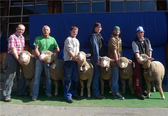 Stolz präsentiert Jürg Steiner aus Blankenburg (ganz links) seine Siegerkollektion des Weissen Alpenschafes.