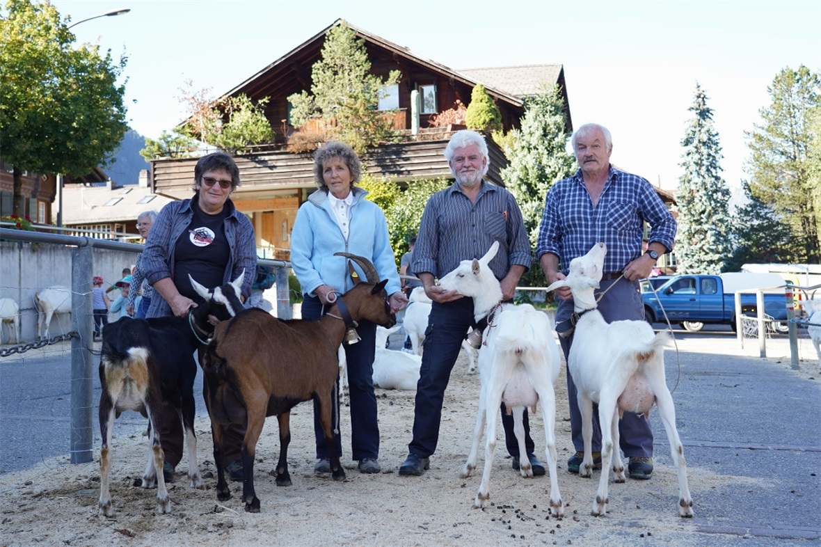 Stolze Züchter mit den «Missen» der Ziegenschau in Lenk: Annemarie Gobeli mit Ci...